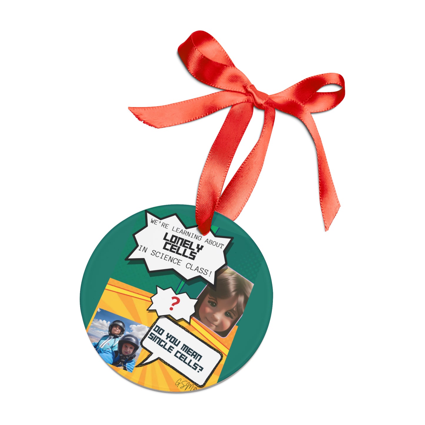 Fun Science Acrylic Ornament with Ribbon