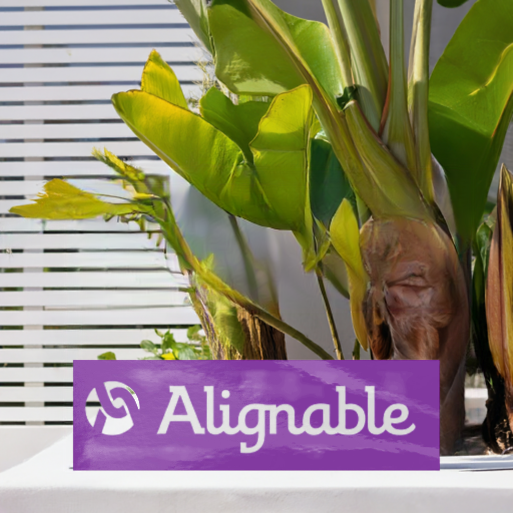 Alignable